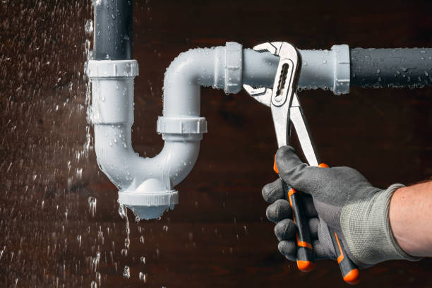 Professional Plumbing technician working in De Witt, IA